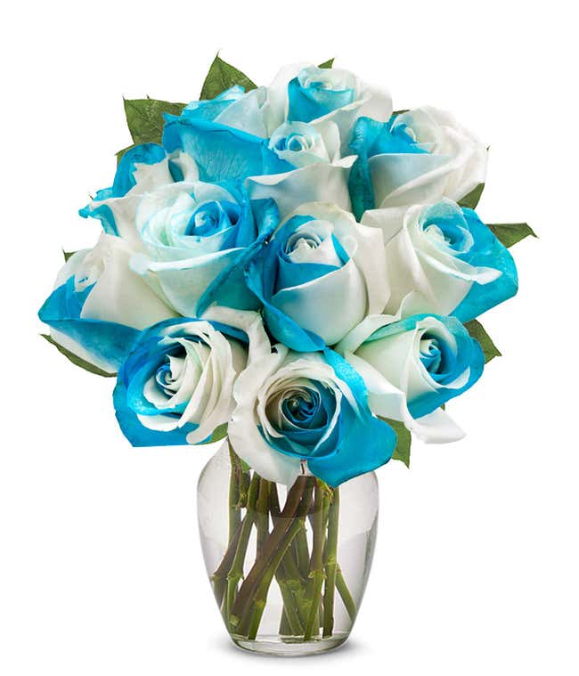 Free delivery - Premium - Blue Glitter - Blue and White Tinted Roses -  Flowers Near Me - Magnaflor