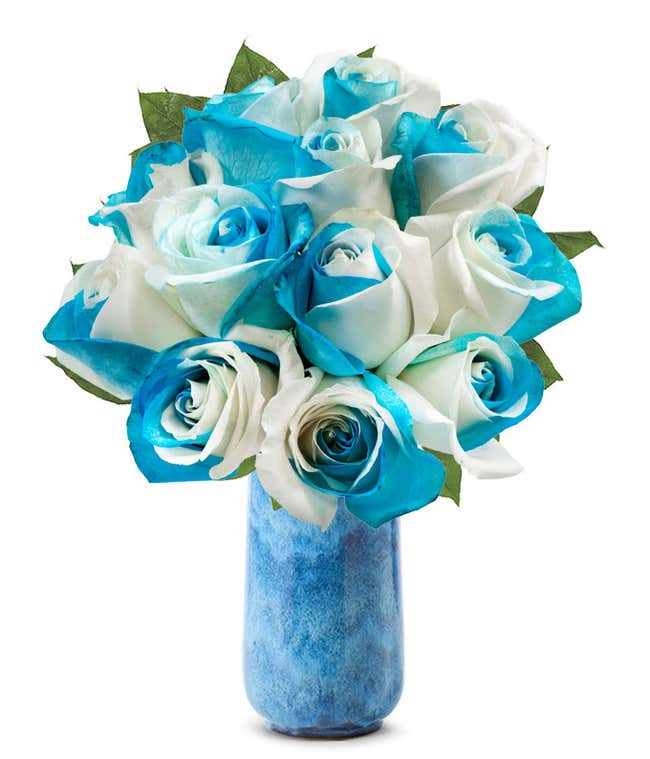 One Dozen Sea Foam Roses