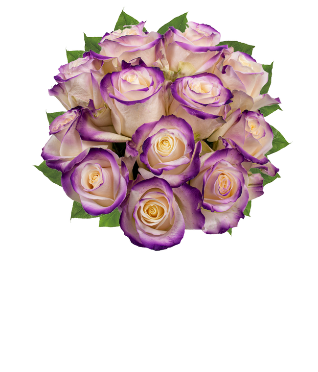 Partial image of One Dozen Royal Roses without vase