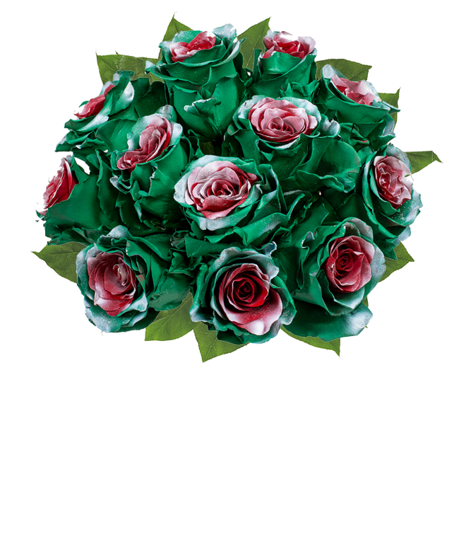 Partial image of A festive arrangement of one dozen roses, naturally dyed red and green with frosted tips. Glass vase optional. without vase.