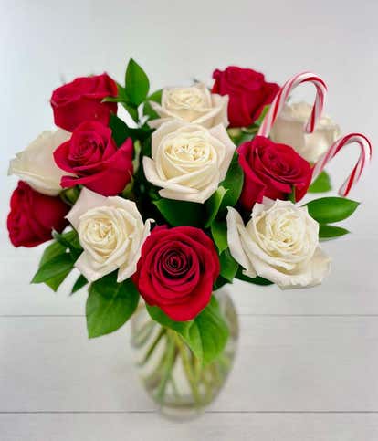 One Dozen Candy Cane Roses  with Clear Glass Vase