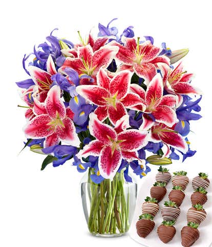 Premium Starlit Iris & Swizzle Berry Bundle
