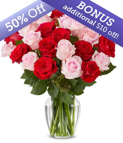 Two Dozen Premium Red & Pink Roses