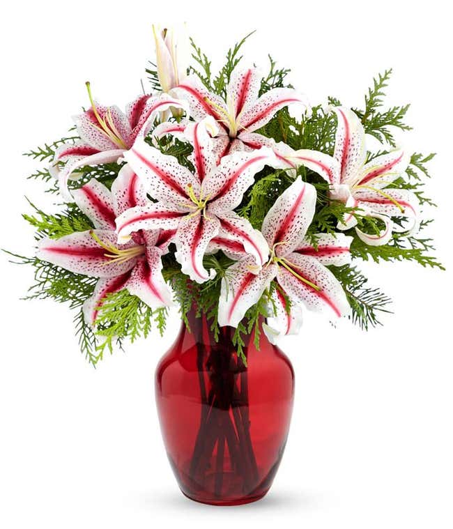 A beautiful arrangement with striped stargazer lilies and seasonal greens. Glass vase optional.
