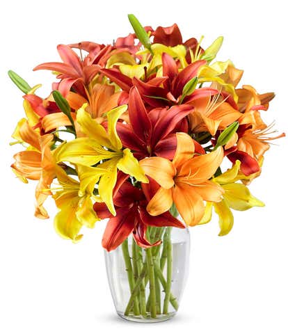 Fabulous Fall Lilies