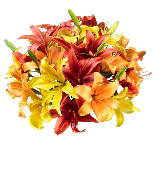 Partial image of A bouquet of yellow, orange, and red lilies, with some unbloomed green lily buds in a glass vase without vase.