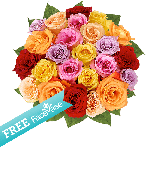 Partial image of Two Dozen Rainbow Roses with Free Facevase without vase