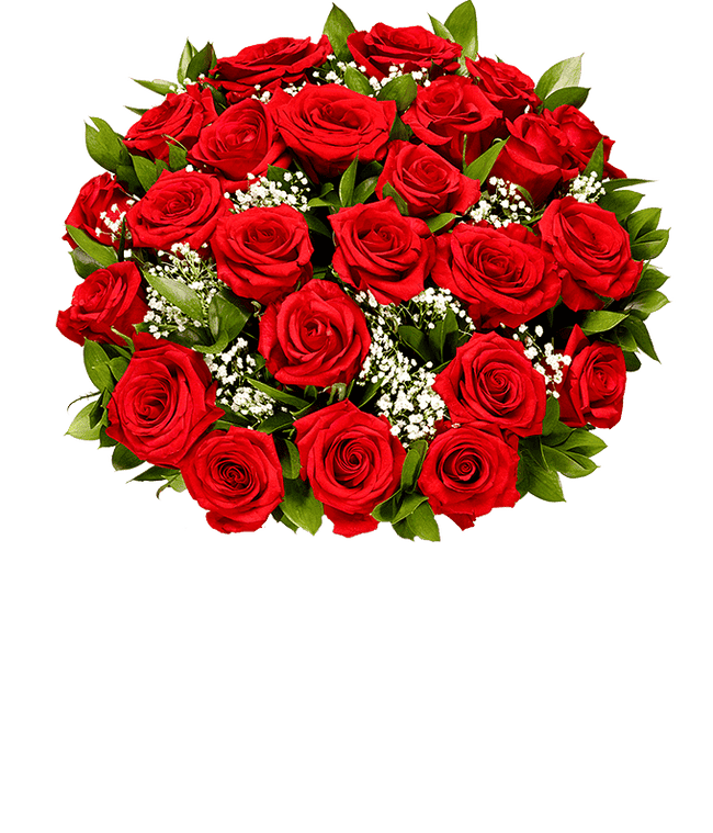 Partial image of Romantic Starry Night Roses - DOUBLE! without vase