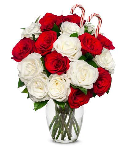 Sweet Candy Cane Roses