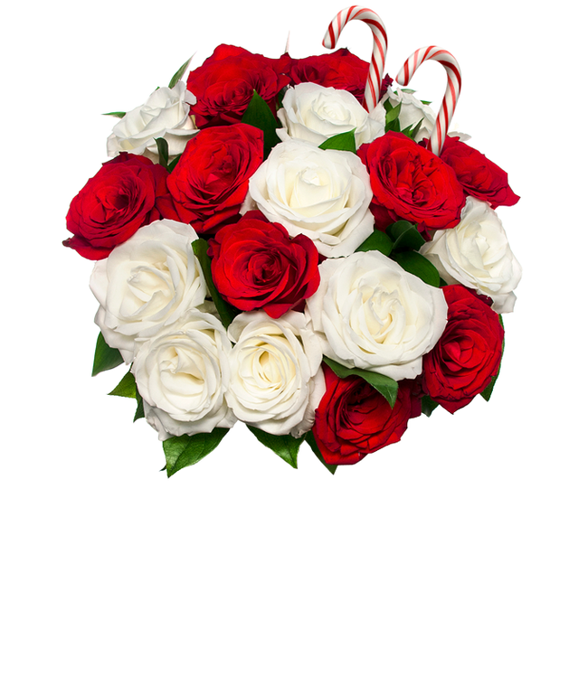 Partial image of Sweet Candy Cane Roses without vase