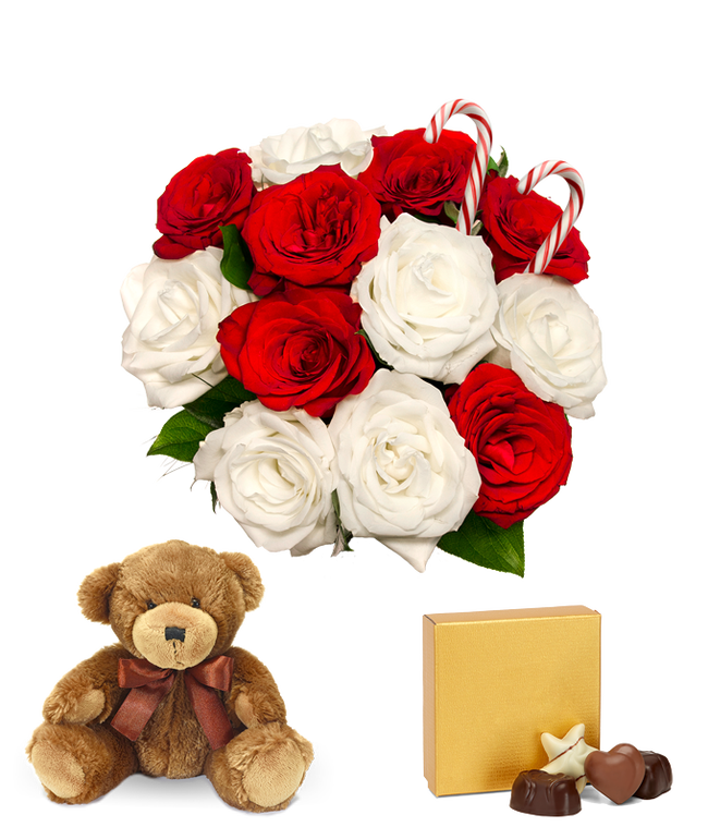 Partial image of One Dozen Candy Cane Roses with Chocolates &amp; Teddy Bear without vase