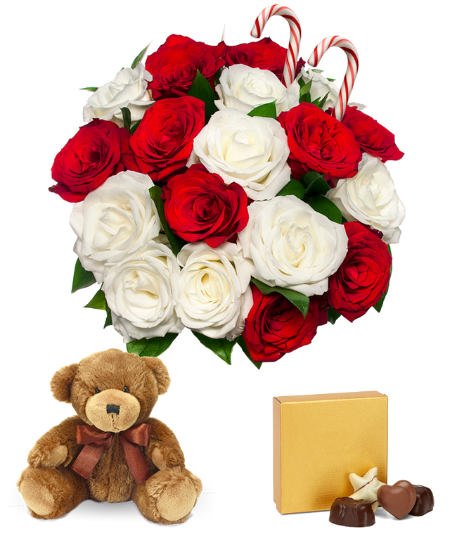 Partial image of 18 Candy Cane Roses with Chocolates &amp; Teddy Bear without vase