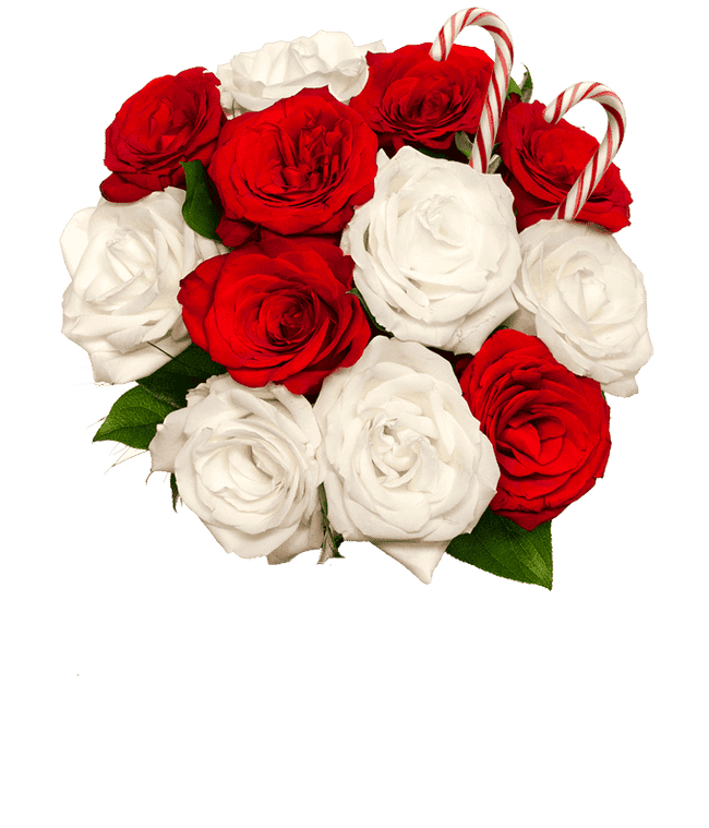 Partial image of Merry Christmas Bouquet without vase