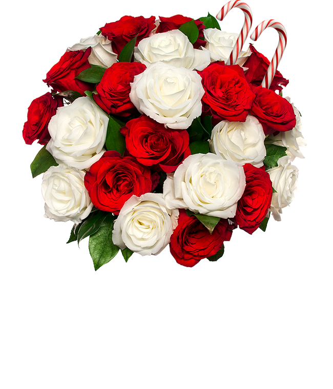 Partial image of Merry Christmas Bouquet - Premium without vase