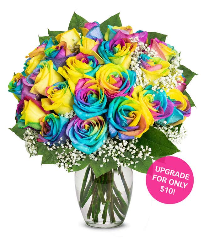 One Dozen Wild Rainbow Roses