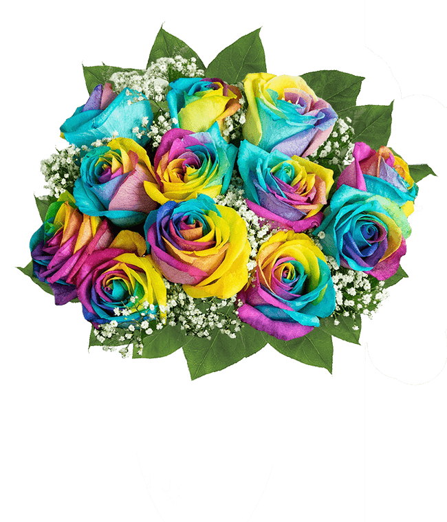 Partial image of One Dozen Wild Rainbow Roses without vase