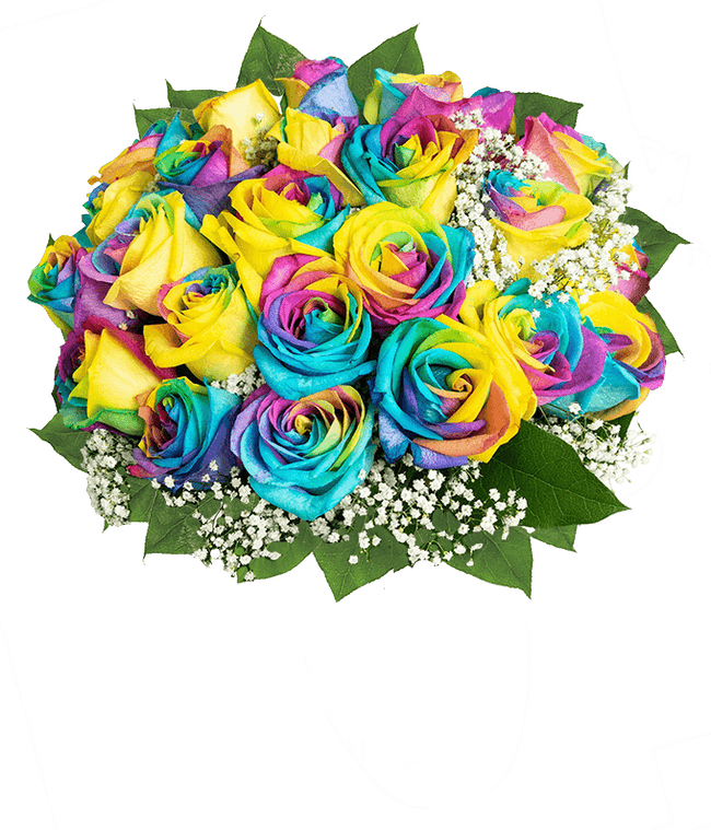 Partial image of  A stunning arrangement featuring 24 wild rainbow roses, optionally presented in a vase. This vibrant and colorful display offers a striking and eye-catching centerpiece, perfect for adding a touch of joy and celebration to any occasion. without vase