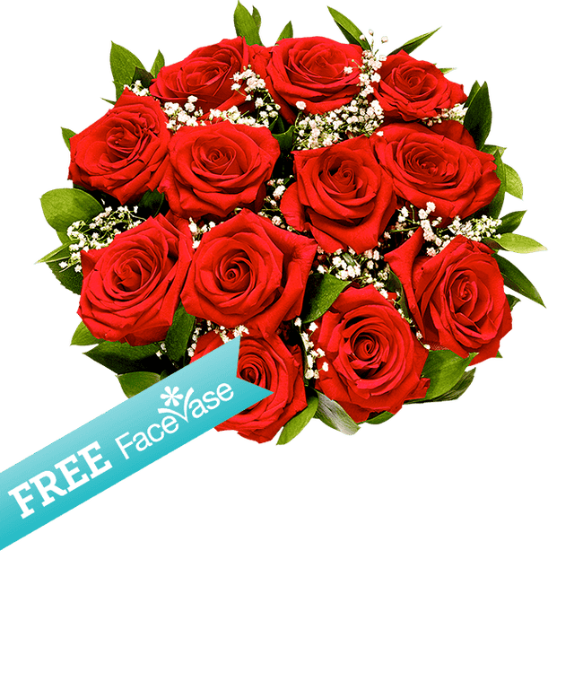Partial image of One Dozen Premium Red Roses with Free Facevase without vase.