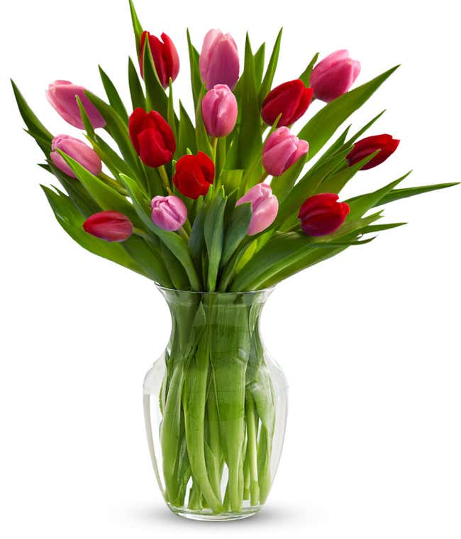 Red &amp; Pink Tulips - 15 Stems