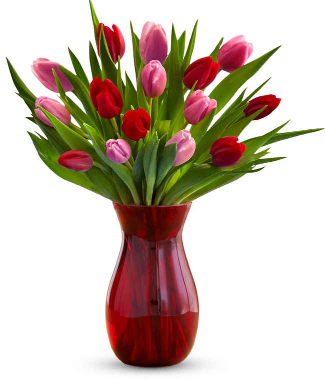 Red &amp; Pink Tulips - 15 Stems