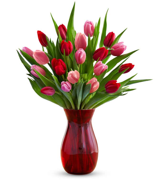 Red &amp; Pink Tulips - 20 Stems