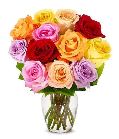 One Dozen Mixed Rainbow Roses