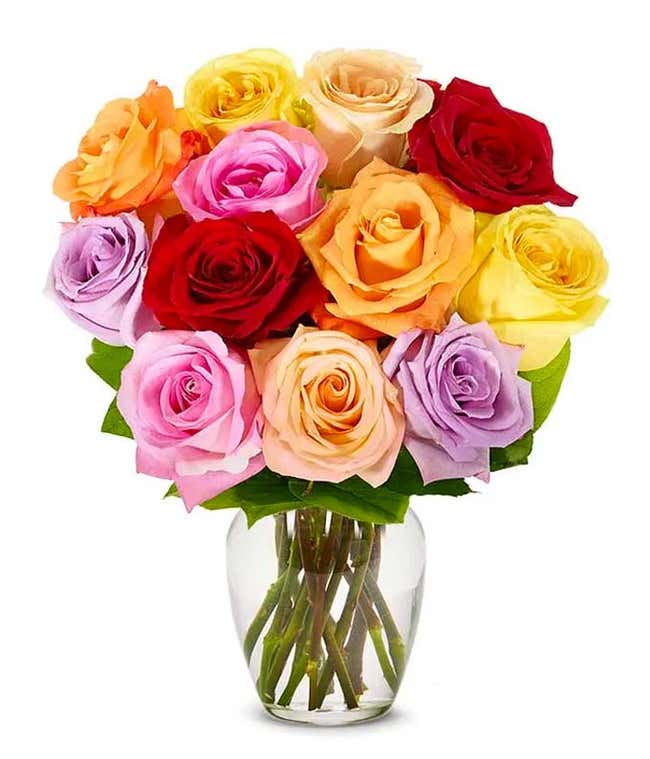 One Dozen Colorful Roses