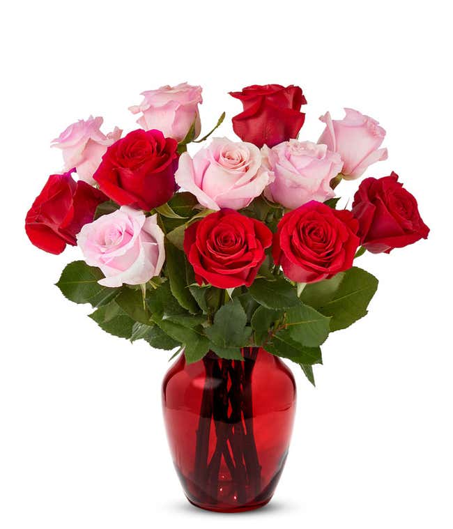 One Dozen Red and Pink Roses