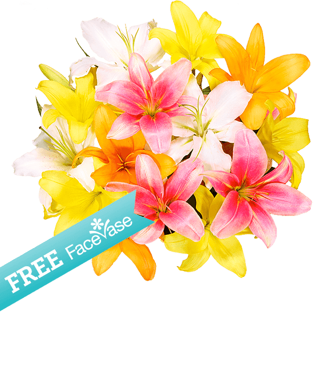 Partial image of Stunning Lily Bouquet with Free Facevase without vase