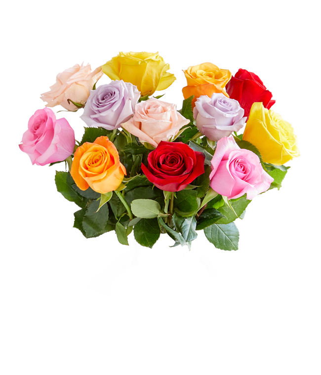 Partial image of A bouquet of multicolored roses in a clear vase, featuring red, pink, orange, yellow, peach, and lavender blooms, arranged with green leaves for a vibrant and cheerful display. without vase.