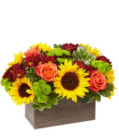 Sunflower Bouquet | Sunflower Delivery | FromYouFlowers