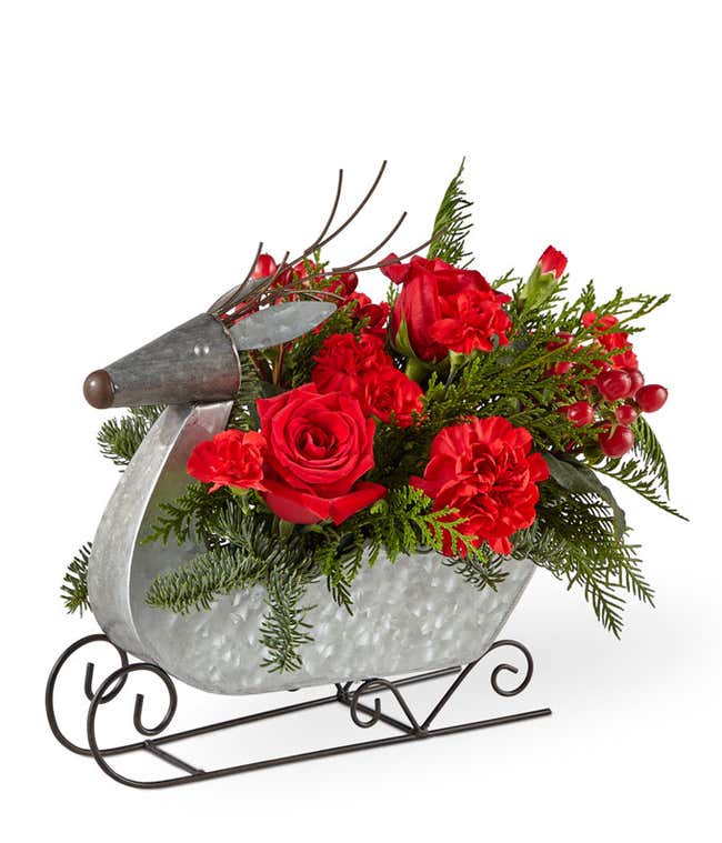 Red flowers mixed with seasonal greens, arranged into a silver reindeer sleigh container