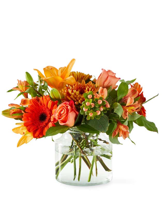 Orange Roses, Lilies, &amp; Daisies in a glass Cinch Vase with a white background
