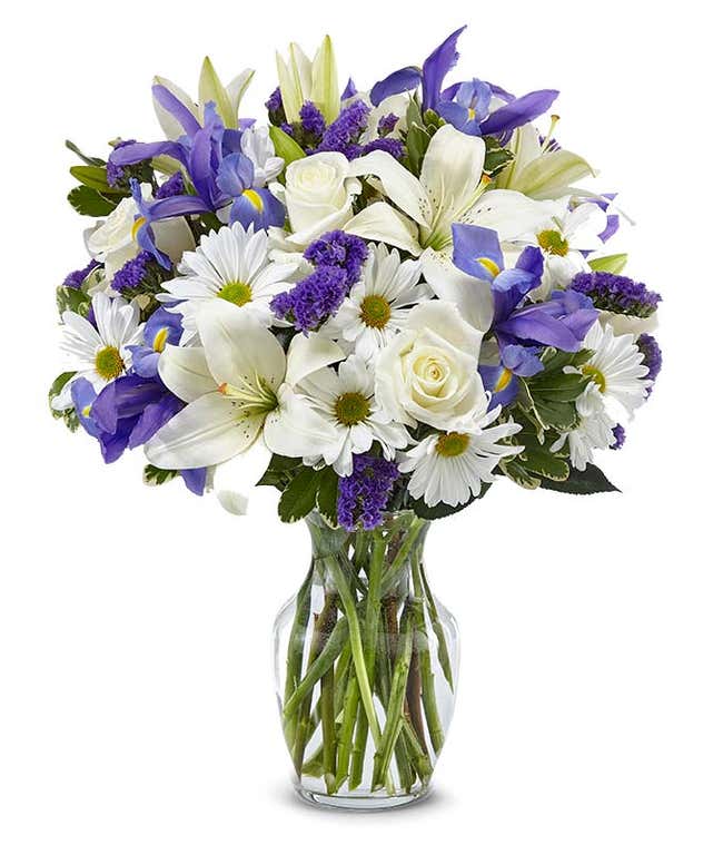 raybet雷竞技入口网址同情与白玫瑰花束和蓝色的虹膜