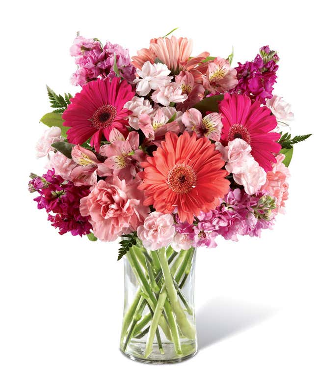 Gerbera daisies in shades of coral and hot pink, arranged with pink carnations and alstroemeria in a tall clear cylinder vase