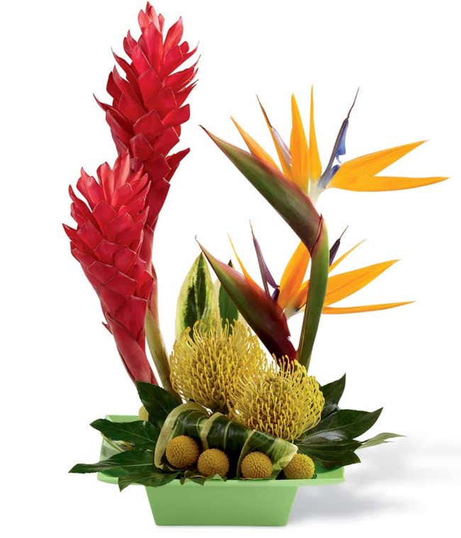 Tropical Flower Delivery FromYouFlowers