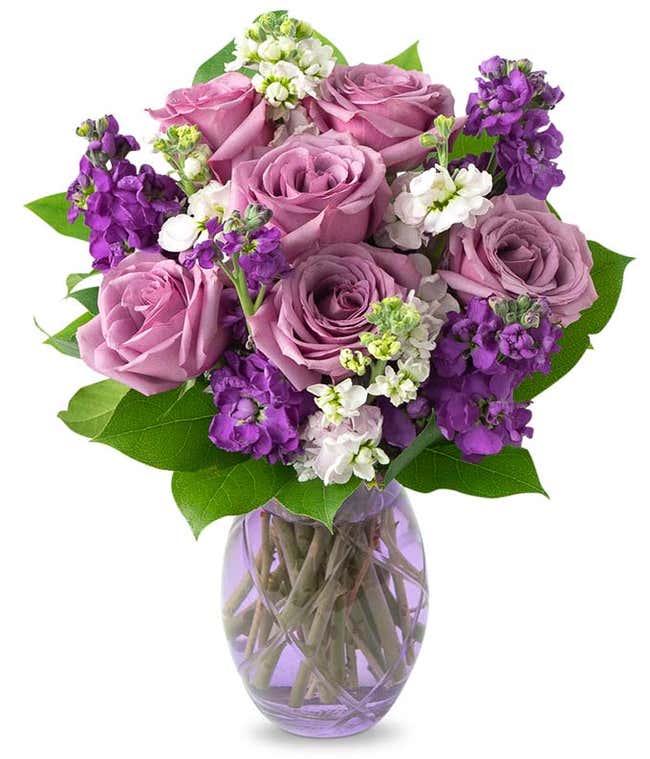 Lavender roses with pink floral stems