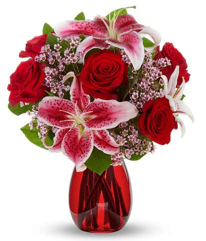 One Dozen Long Stemmed From You Flowers at Red Roses