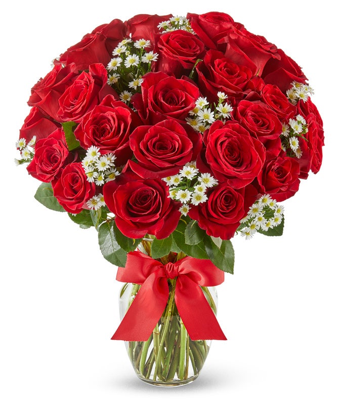 Luxury Red Roses - Two Dozen