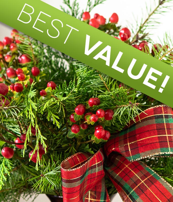 Christmas Plant Delivery - FromYouFlowers