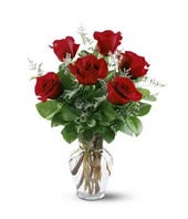 1/2 Dozen Red Rose Bouquet