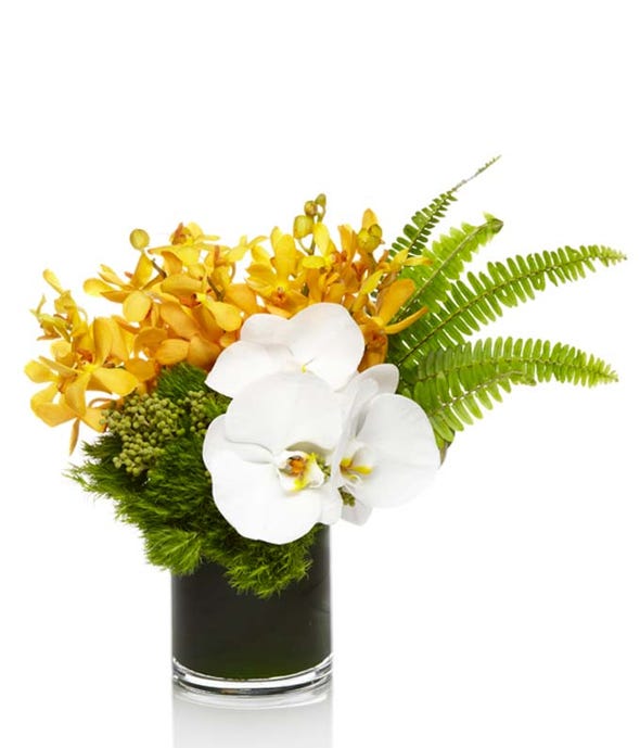 Premium Flowers High End Flowers