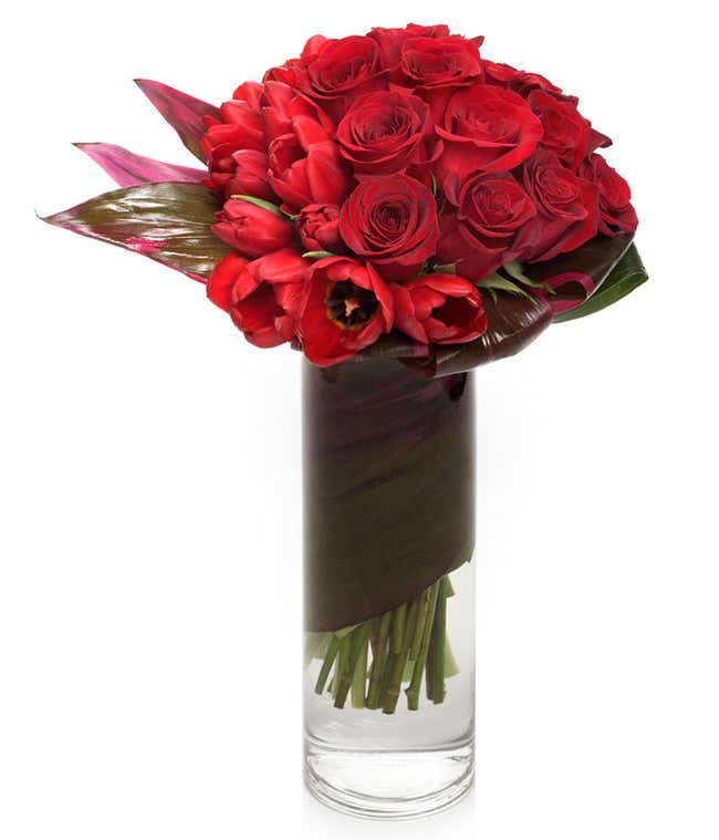 Soaring Luxury with Red Roses