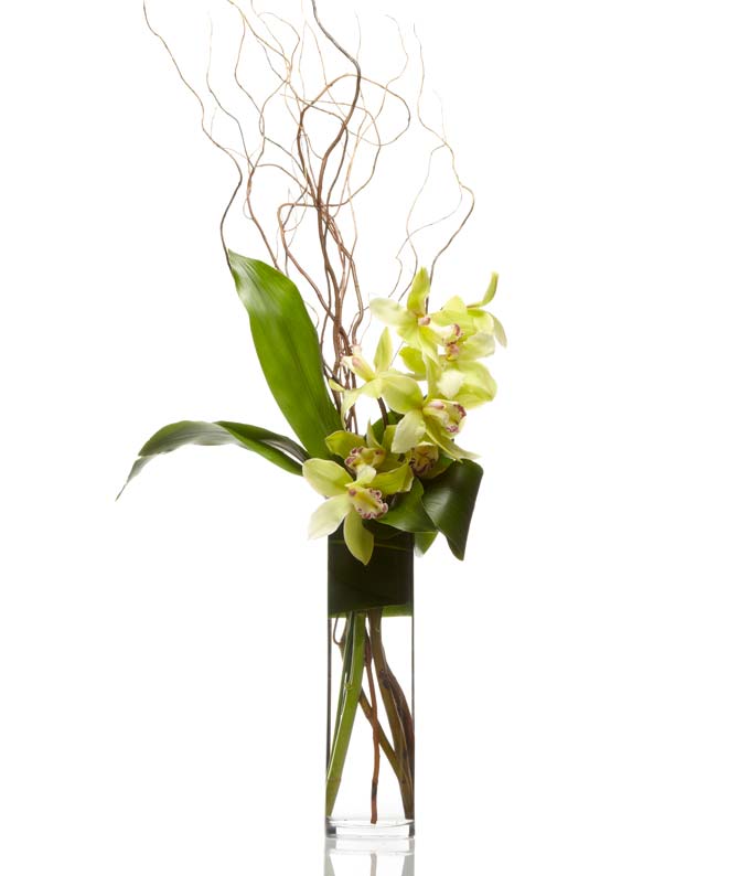Soaring Orchid Elegance
