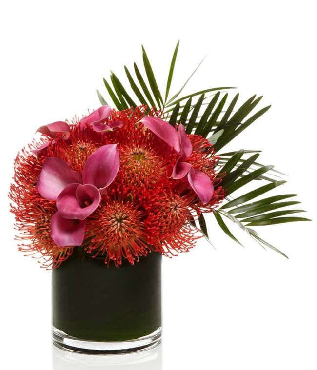 Red Pincushion Protea with Pink Lilies delivered