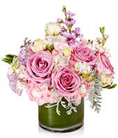 Pastel Designer's Choice