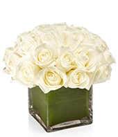 White Rose Cube