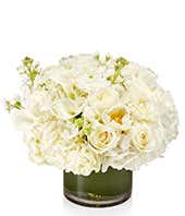 White Luxe Designer's Choice