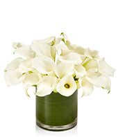 White Calla Lily Cylinder