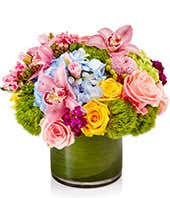 Bright Luxe Designer's Choice